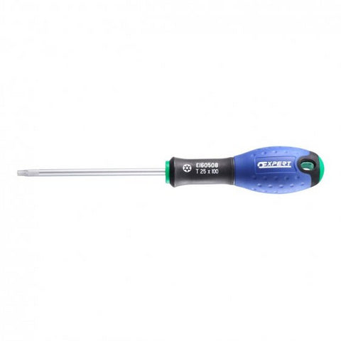 EXPERT CHAVE PUNHO TT10 RESISTORX E165340